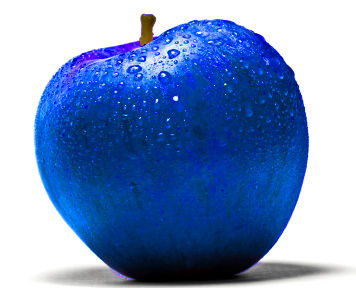 F0SHC7MGGBZPKM4.LARGE